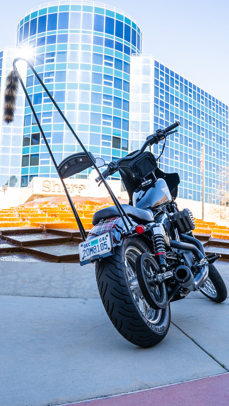 Load image into Gallery viewer, STUPID TALL SISSY BAR W/BAR BLACK XL 94-03 B13-1508B image 3
