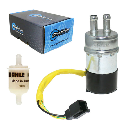 Frame-Mounted Electric Fuel Pump w/ Fuel Filter HFP-184-008-F