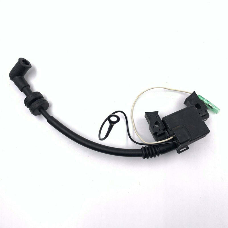 Load image into Gallery viewer, Ignition Coil with CDI for Yamaha Outboard 4HP F4SMHA 2022
