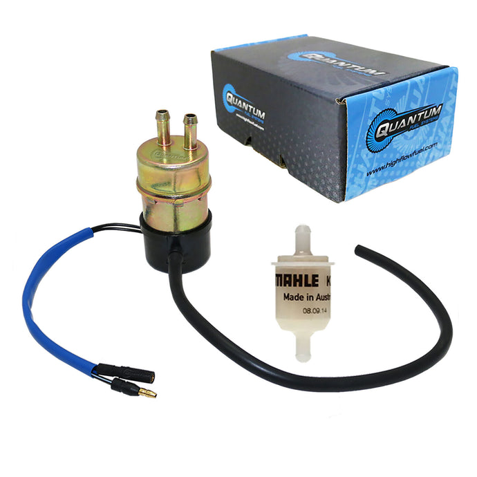 Frame-Mounted Electric Fuel Pump w/ Fuel Filter HFP-179-F