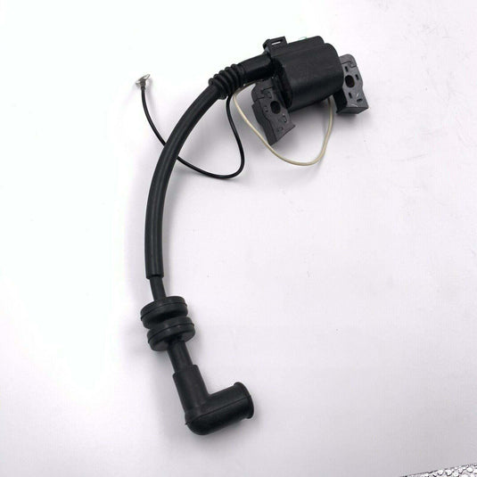 Ignition Coil with CDI for Yamaha Outboard 4HP F4SMHA 2022