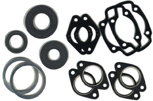 PROFESSIONAL GASKET SET WITH OI L SEALS 711162D