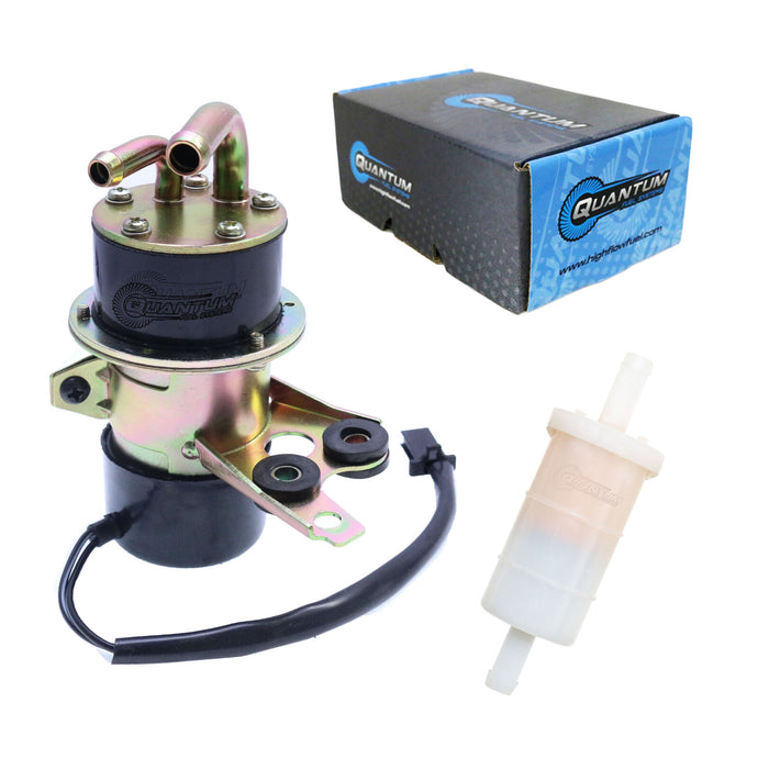 Frame-Mounted Electric Fuel Pump w/ Fuel Filter HFP-186-F