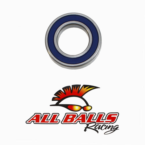 BEARING 6007-2RS DOUBLE LIP SEALS