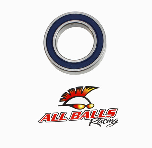 BEARING 6009-2RS DOUBLE LIP SEAL