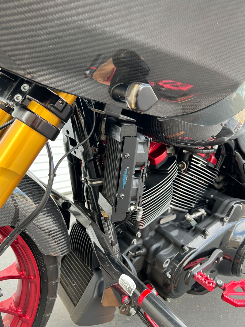 Load image into Gallery viewer, OIL COOLER M8 TOURING `17-23 (CHOPPED GUARD) SMT8-5N image 6
