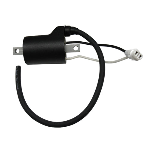 IGNITION COIL POLARIS