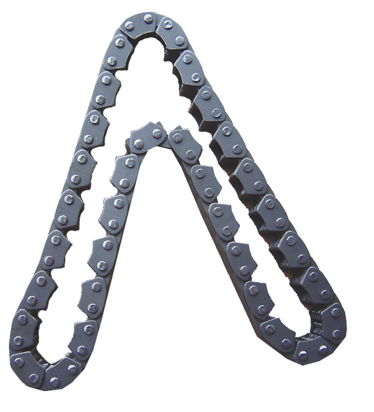 BORG WARNER HYVO CHAIN 3/4
