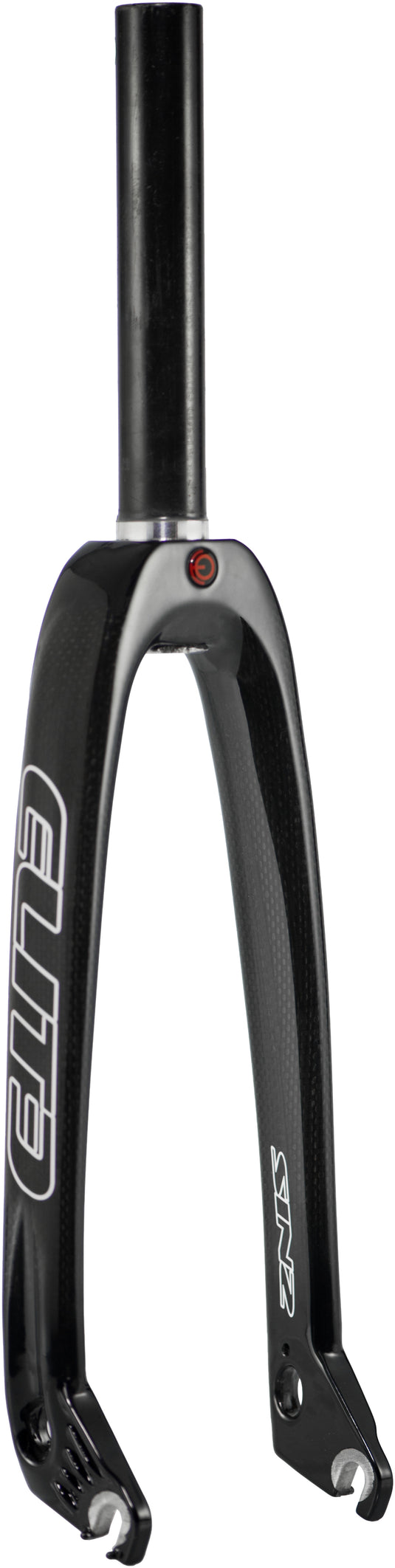 PRO LITE ELITE V2 CARBON RACE FORK 20IN 202009 image 1