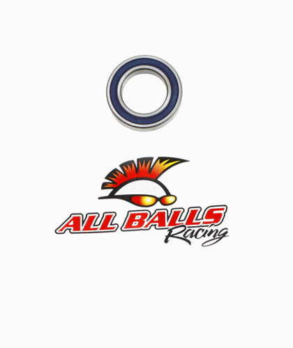 6905 DOUBLE SEALED BEARING