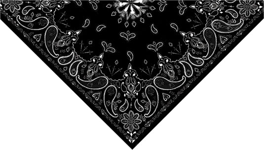 3-IN-1 HEADBAND SYSTEM (PAISLEY BLACK) BV001 image 1