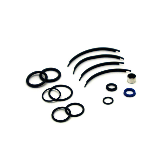 HYBRID SHOCK REBUILD KIT WALKER EVANS WITH 0.625