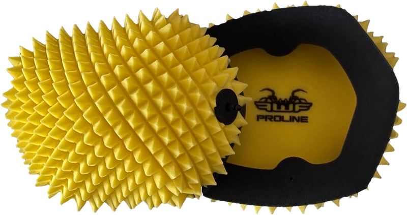 Load image into Gallery viewer, AIR FILTER PROLINE FWF PRO 7771 image 1
