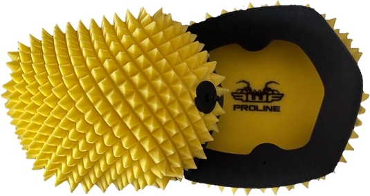 AIR FILTER PROLINE FWF PRO 7771 image 1