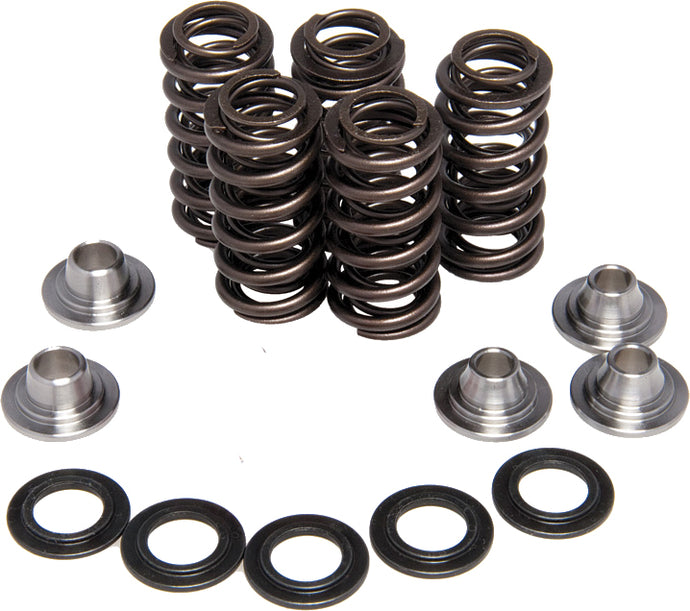 SPRING KIT REPLACEMENT 0.415 LIFT SHOVELHEAD '66-83 20-20435 image 1