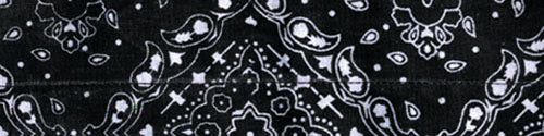 COOLDANNA, 100% COTTON, PAISLEY BLACK