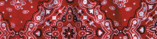 COOLDANNA, 100% COTTON, RED PAISLEY