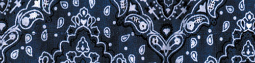 COOLDANNA, 100% COTTON, PAISLEY NAVY