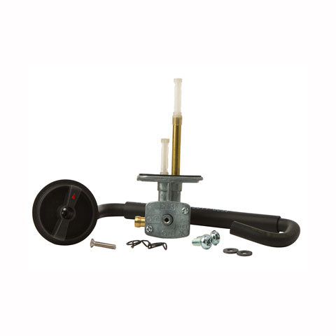 FUEL STAR FUEL VALVE KIT