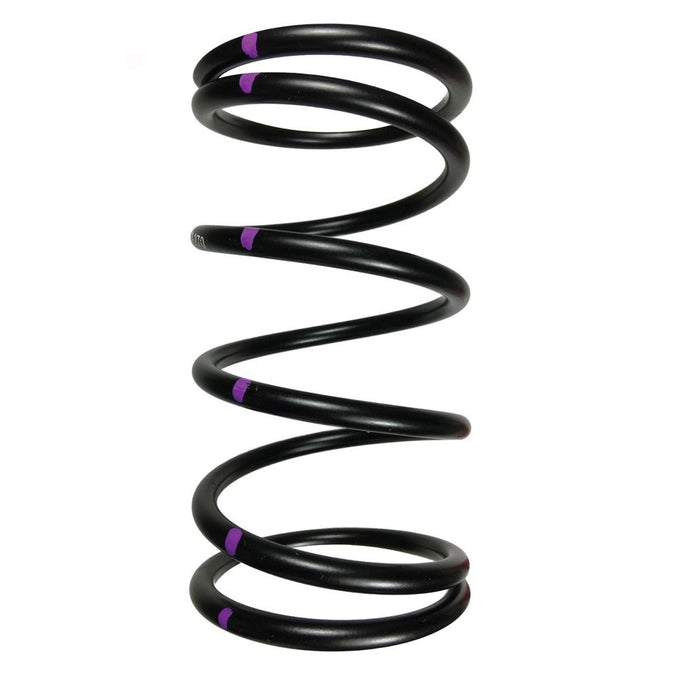 H5 DRIVEN CLUTCH SPRING BLACK/SILVER CCH5-L-160-250 image 1