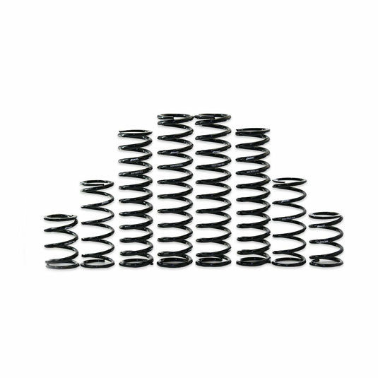 DUAL RATE SPRING KIT KAW K30-KA1001-0 image 1