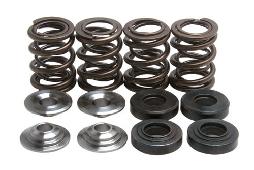 KIBBLEWHITE VALVE SPRING KIT .480