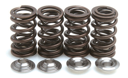 KIBBLEWHITE VALVE SPRING KIT .460