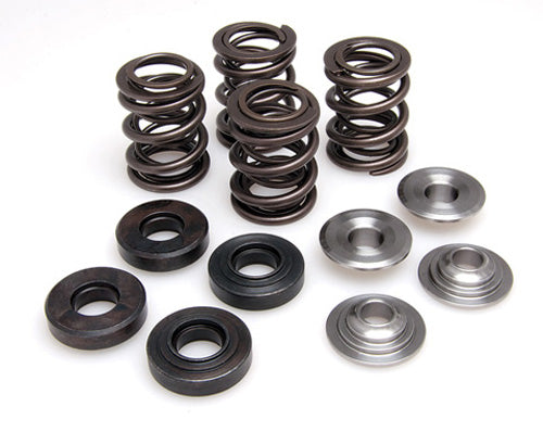 KIBBLEWHITE VALVE SPRING KIT .375