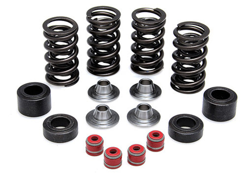 KIBBLEWHITE VALVE SPRING KIT .385