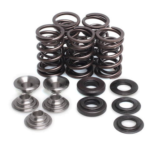KIBBLEWHITE VALVE SPRING KIT .450