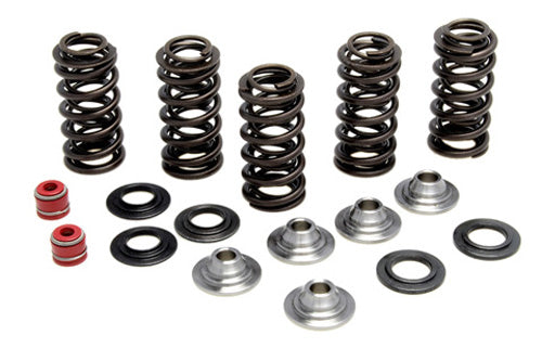 KIBBLEWHITE VALVE SPRING KIT .380