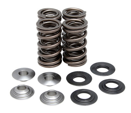 KIBBLEWHITE VALVE SPRING KIT .480