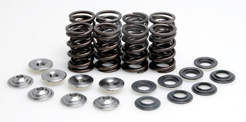 KIBBLEWHITE VALVE SPRING KIT .445