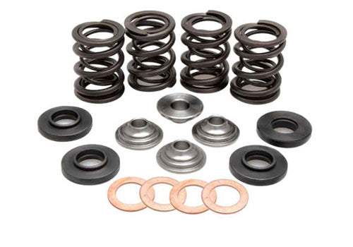 KIBBLEWHITE VALVE SPRING KIT .460