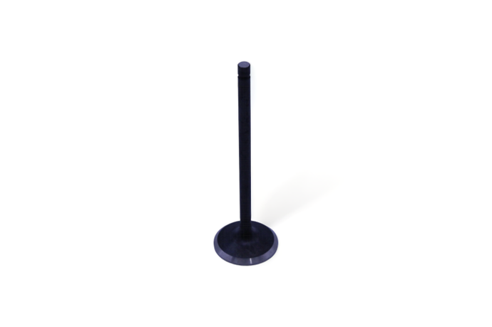 KPMI ENGINE VALVE