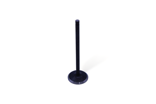 KPMI ENGINE VALVE
