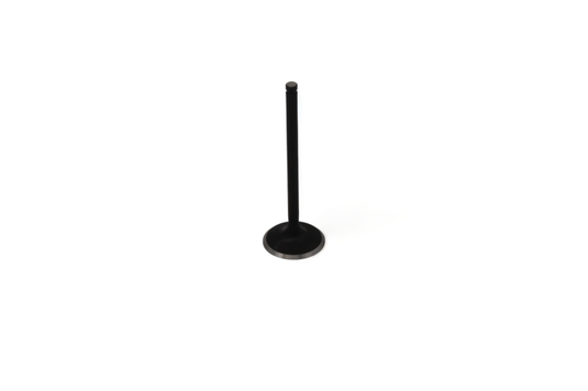 KPMI ENGINE VALVE