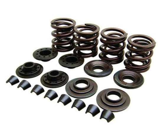 KPMI SPRING KIT, OEM, 0.400