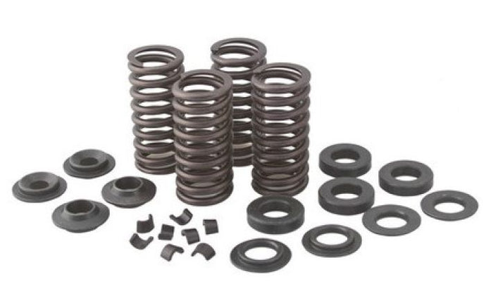 KPMI SPRING KIT, OEM, .375