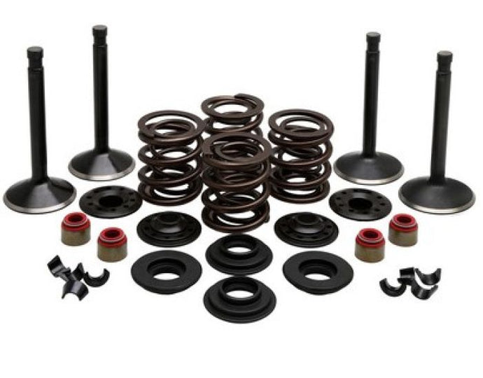 KPMI ENGINE KIT, HARLEY-DAVIDSO N®, SHOVELHEAD 74