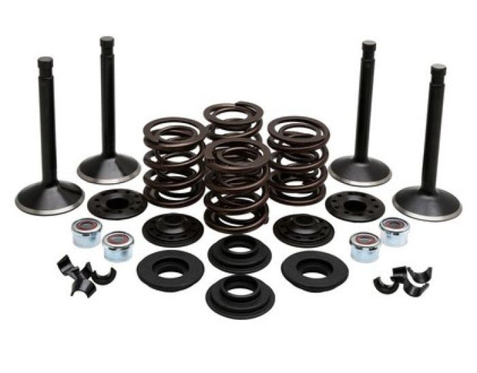 KPMI ENGINE KIT, HARLEY-DAVIDSO N®, SHOVELHEAD 80