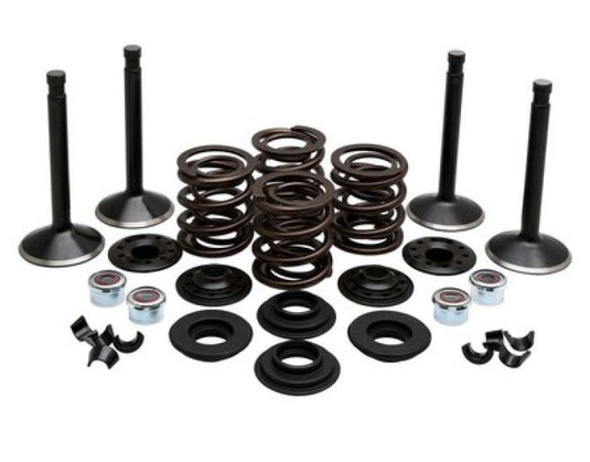 KPMI ENGINE KIT, HARLEY-DAVIDSO N®, SHOVELHEAD 80