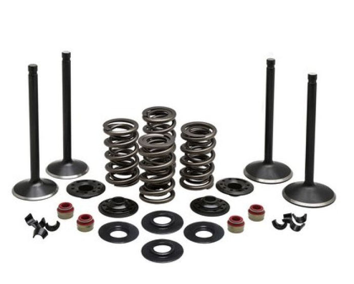 KPMI ENGINE KIT, HARLEY-DAVIDSO N®, EVOLUTION, 1984-'99