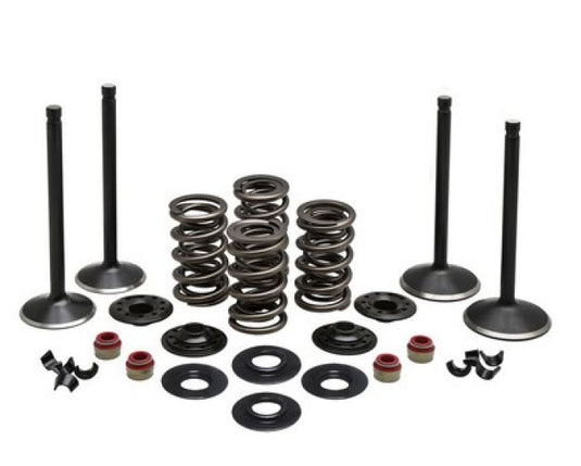 KPMI ENGINE KIT, HARLEY-DAVIDSO N®, EVOLUTION, 1984-'99