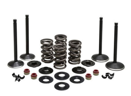 KPMI ENGINE KIT, HD®, EVO SPORT STER 1200CC, 1988-'03