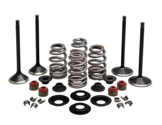 KPMI ENGINE KIT, HARLEY-DAVIDSO N®, BUELL XB9-XB12, 2003-'10