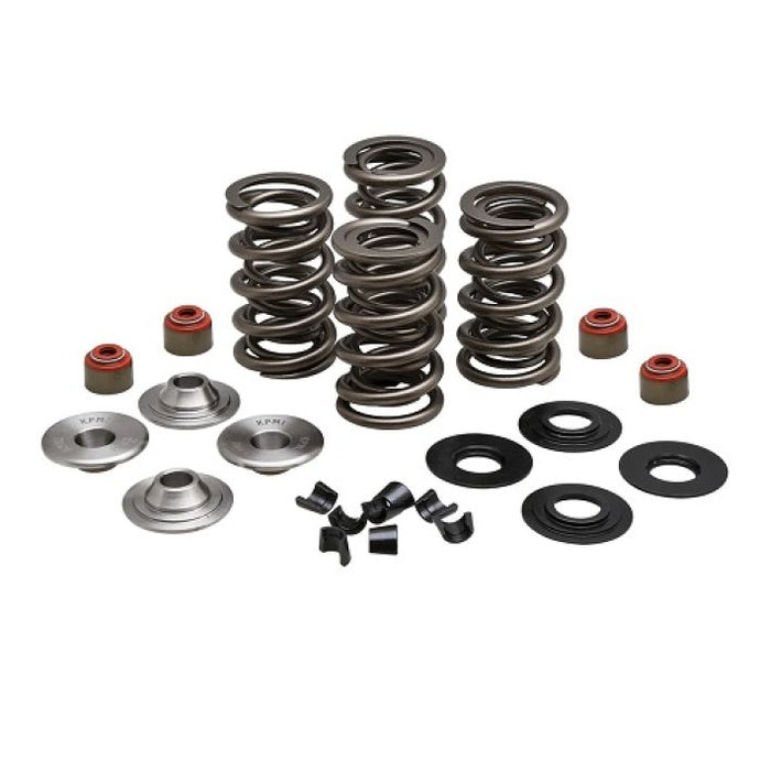 KPMI RACING SPRING KIT, TITANIU M, 0.650