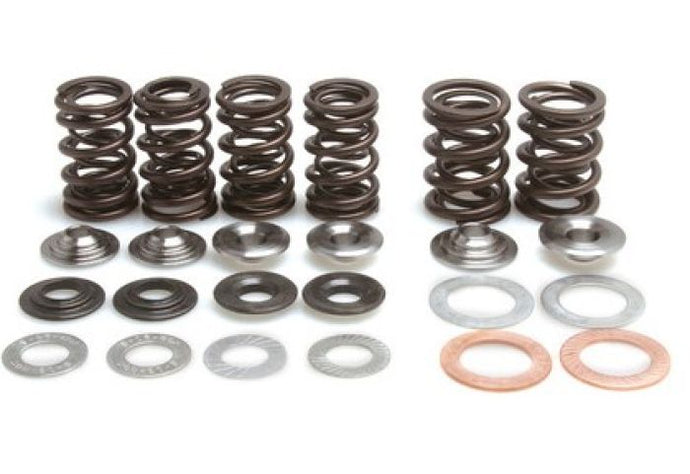 KPMI SPRING KIT LIGHTWEIGHT RAC ING .500