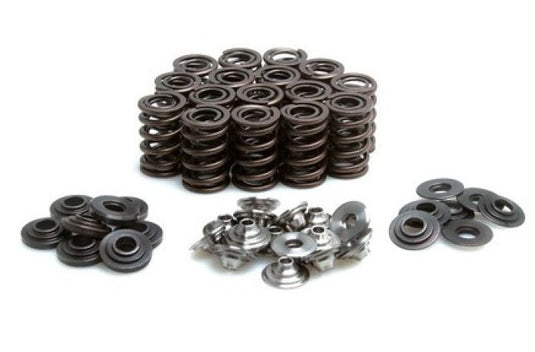 KPMI SPRING KIT LIGHTWEIGHT RAC ING .440