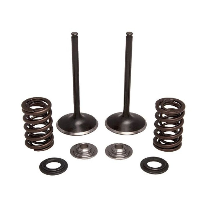 KPMI INTAKE ONLY SPRING KIT TIT ANIUM 0.450